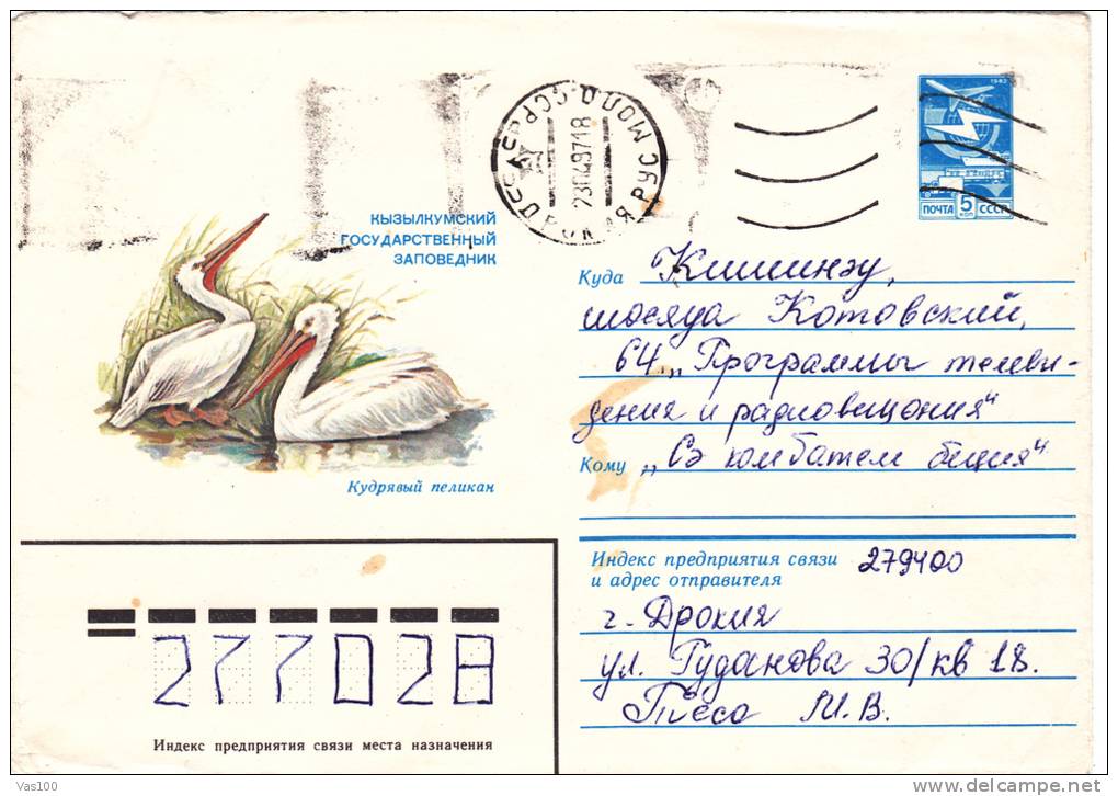 PELICANS.COVER STATIONARY,1983,ROMANIA - Pellicani