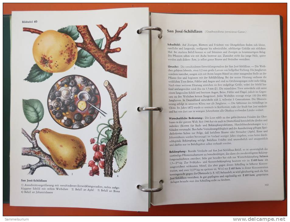 "Bayer Pflanzenschutz Compendium" Um 1960 (Ringbuch) - Natuur