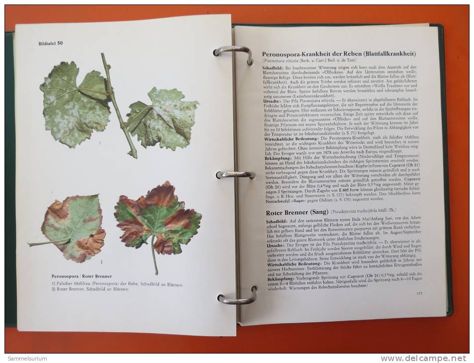 "Bayer Pflanzenschutz Compendium" Um 1960 (Ringbuch) - Natuur