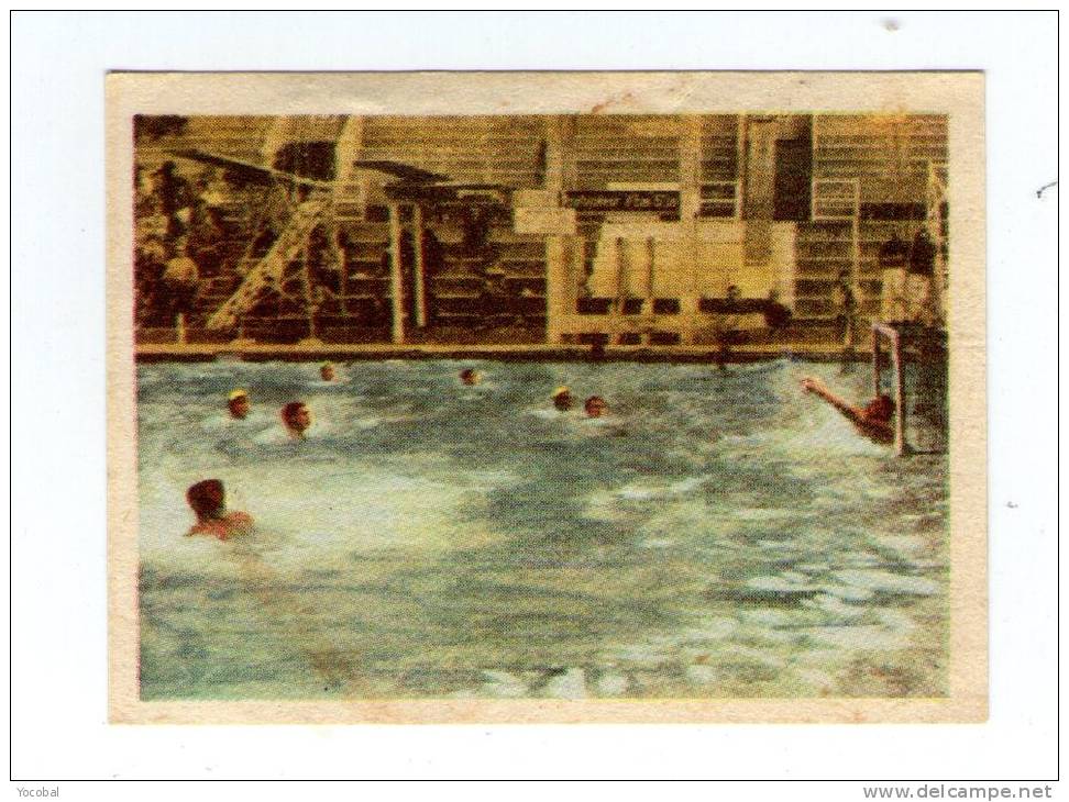 Chromo , Docks FRANC-COMTOIS , WATER POLO , 170 - Sonstige & Ohne Zuordnung