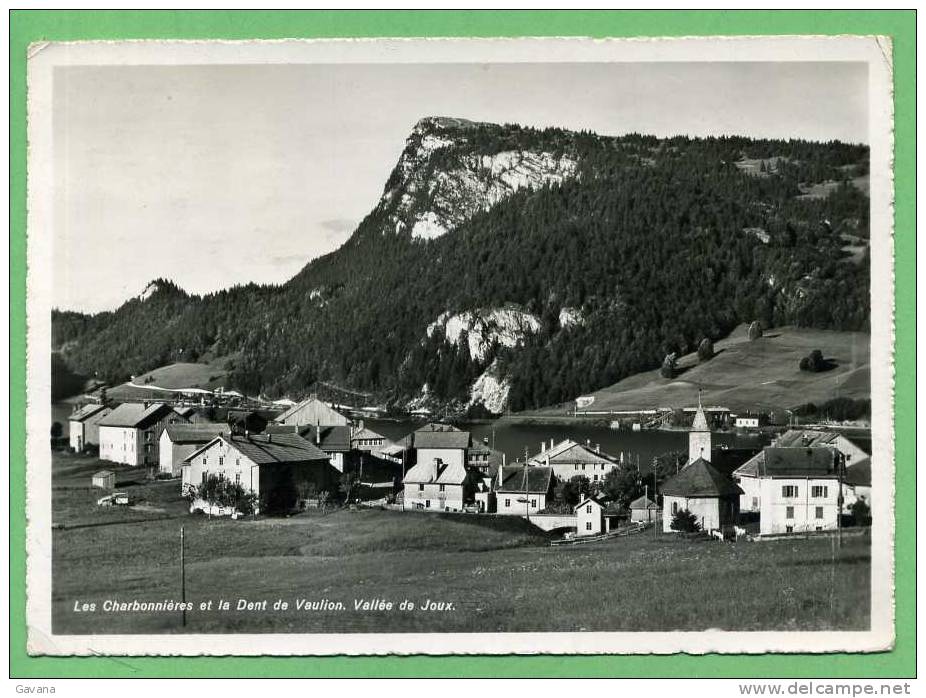 LES CHARBONNIERES  Et La Dent De Vaulion. Vallée De Joux - Arbon