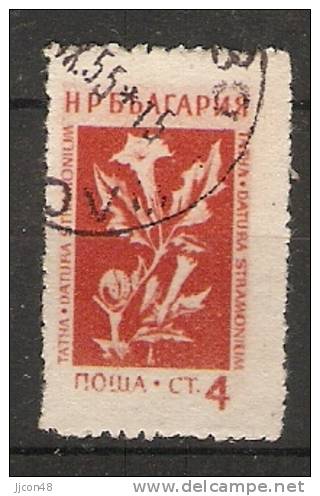 Bulgaria 1953  Medicinal Flowers  (o) Mi.873 - Oblitérés