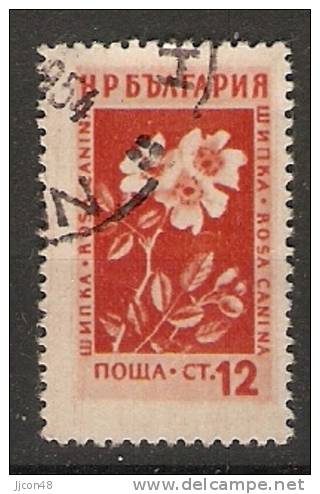 Bulgaria 1953  Medicinal Flowers  (o) Mi.875 - Oblitérés