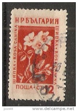 Bulgaria 1953  Medicinal Flowers  (o) Mi.875 - Oblitérés