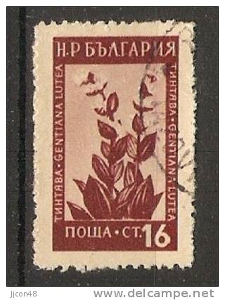 Bulgaria 1953  Medicinal Flowers  (o) Mi.878 - Oblitérés