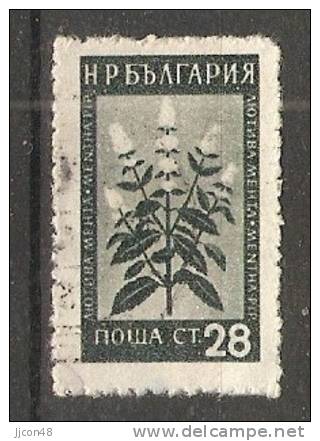 Bulgaria 1953  Medicinal Flowers  (o) Mi.880 - Oblitérés