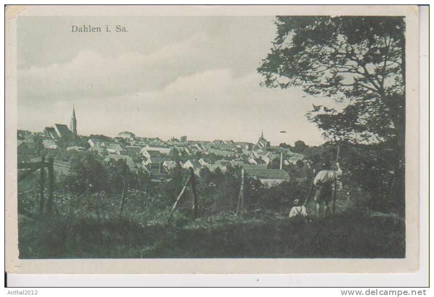 Dahlen In Sachsen Kinder Blocken Auf Die Stadt Wohnhäuser Sw Um 1920 - Dahlen