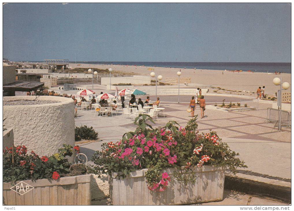 11 - PORT LEUCATE  - Du Kyklos ,le Frond De Mer - Sigean