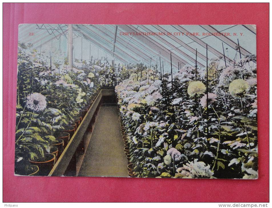 Rochester,NY--Chrysanthemums In City Park--cancel 1909--Ref PJ -104 - Rochester