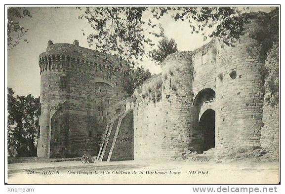22- Dinan, Les Remparts Et Le Chateau De La Duchesse Anne  - Non Circulée - VRN - Dinan
