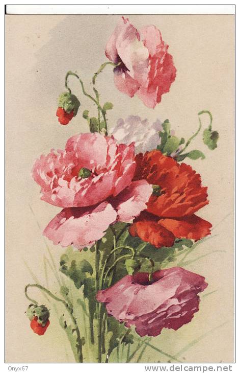 Carte Postale Fantaisie C.KLEIN - Bouquet  Coquelicot - FLEUR  - Illustrateur - VOIR 2 SCANS - - Klein, Catharina