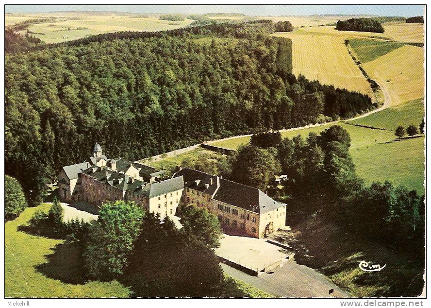 NATOYE-RELAIS PATRO-VUE AERIENNE DU CHATEAU - Hamois