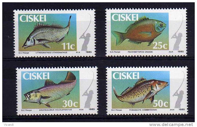 Ciskei - 1985 - Coastal Angling - MNH - Ciskei