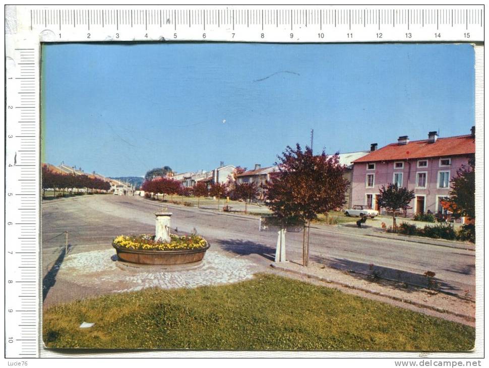 MONTHUREUX SUR SAONE -   Rue Du Général LECLERC  - La Fontaine - Monthureux Sur Saone