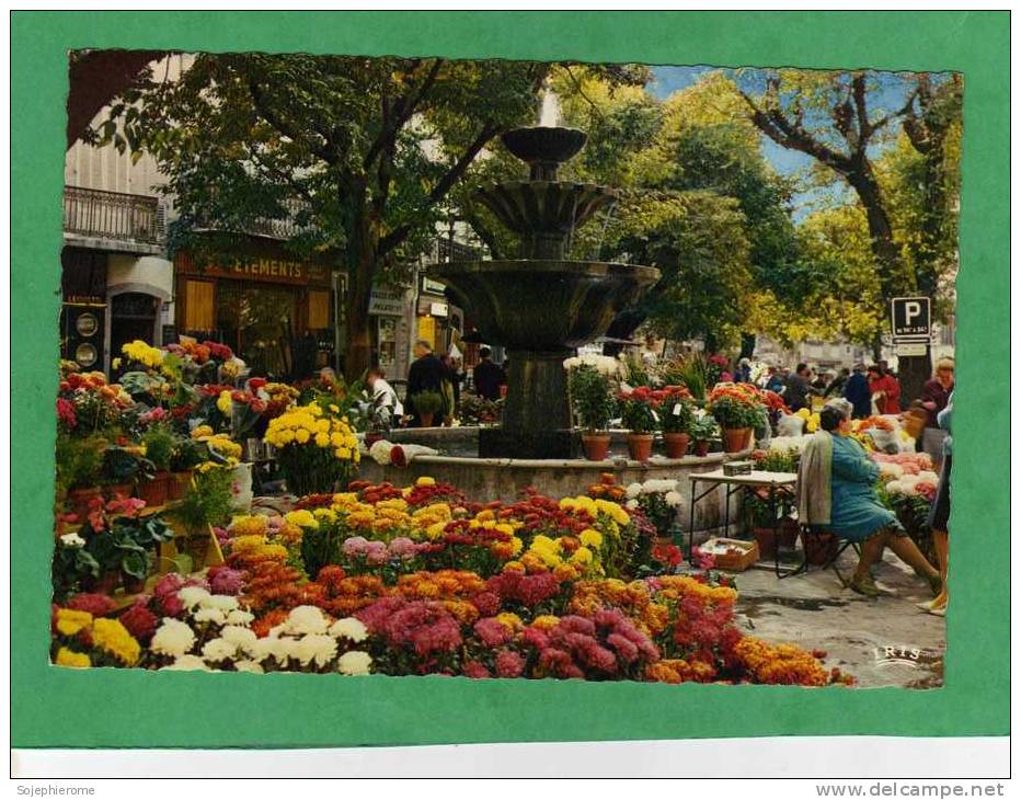 Grasse La Place Aux Aires Sa Fontaine Son Marché Aux Fleurs Carte Animée - Grasse