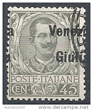 1918-19 VENEZIA GIULIA USATO FLOREALE 45 CENT VARIETà  - RR11480 - Vénétie Julienne