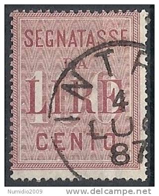 1884 REGNO USATO SEGNATASSE 100 LIRE - RR11485 - Taxe