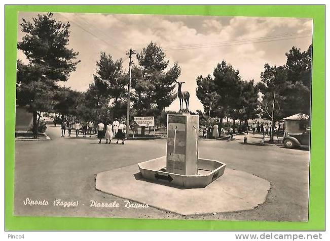 MANFREDONIA FRAZIONE SIPONTO PIAZZALE DAUNIA CARTOLINA FORMATO GRANDE VIAGGIATA NEL 1959 - Manfredonia