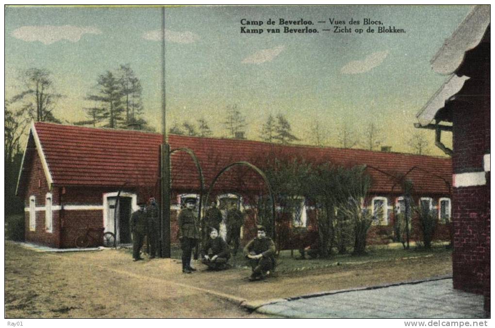 BELGIQUE - LIMBOURG - LEOPOLDBURG - BOURG-LEOPOLD - Camp De Béverloo, Vue Des Blocs. - Leopoldsburg