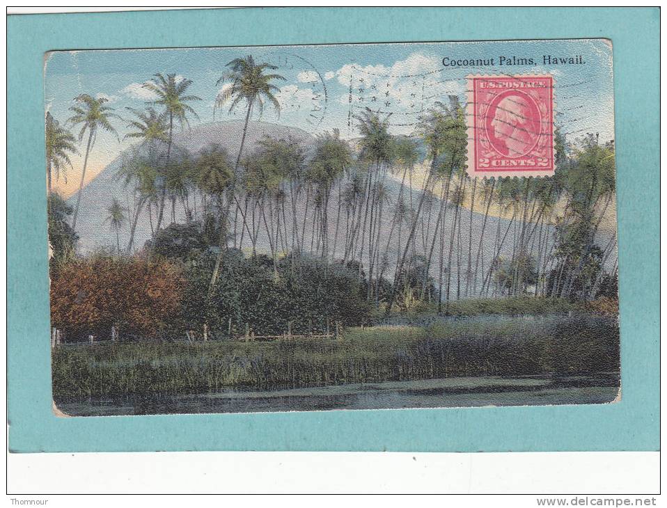 COCONUT  PALMS  -  HAWAII  -  1916  - - Andere & Zonder Classificatie