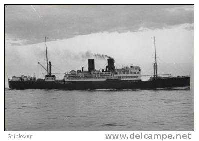 Paquebot Français SIDI BEL ABBES - Photo Originale A. Duncan - Bateau/ship/schiff - Bateaux