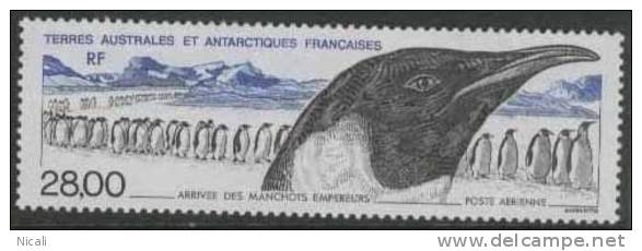 FRENCH ANTARCTICA 1994 March Of Penguins SG334 UNHM EX663 - Ungebraucht