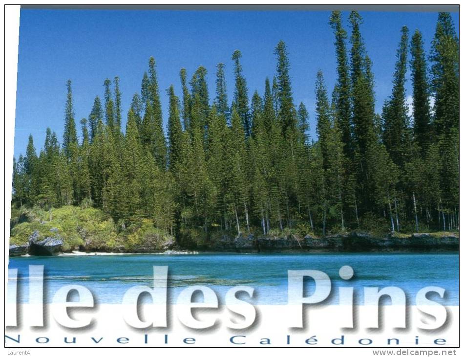 (631) New Caledonia - Nouvelle Calédonie - Ile Des Pins - New Caledonia