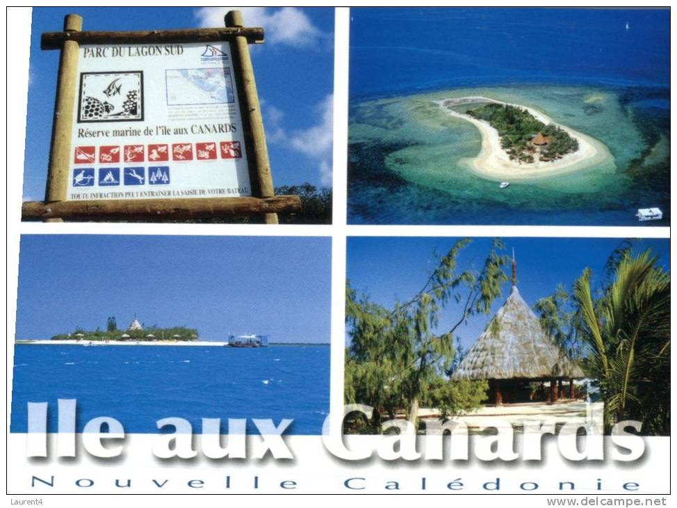 (631) New Caledonia - Nouvelle Calédonie - Ile Aux Canards - Nieuw-Caledonië