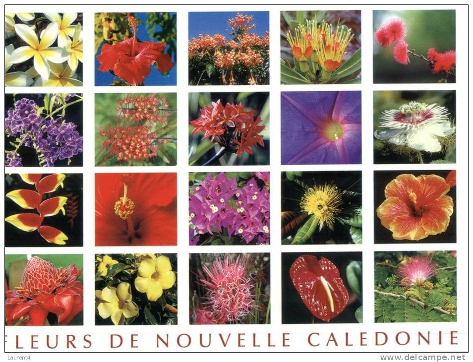 (631) New Caledonia - Nouvelle Calédonie - Mix Flowers Views - Nieuw-Caledonië