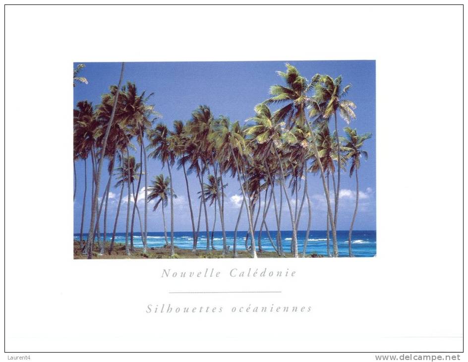 (631) New Caledonia - Nouvelle Calédonie - Palm Trees - Neukaledonien