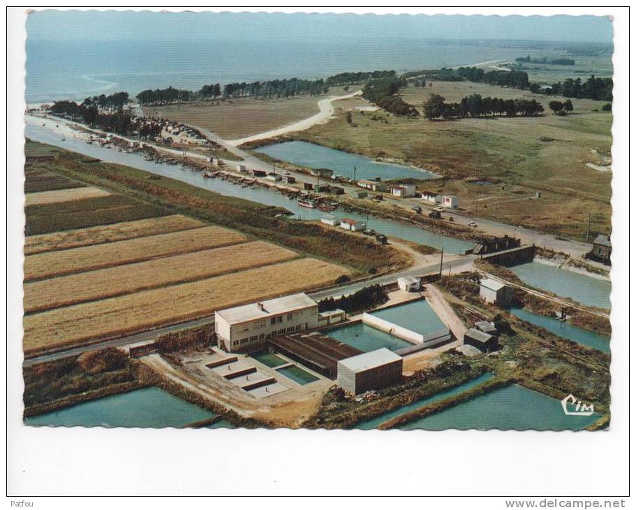 Bourgneuf En Retz Vue Aérienne Le Port Le Camping Du Collet - Bourgneuf-en-Retz