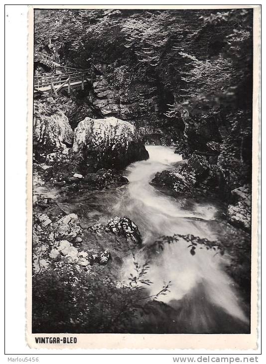 SLOVENIE. Gorge De Vintgar. - Slovenië