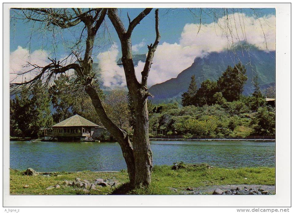 REF 119 : CPM Ile De La Réunion Cilaos Bordure Du Lac - Autres & Non Classés