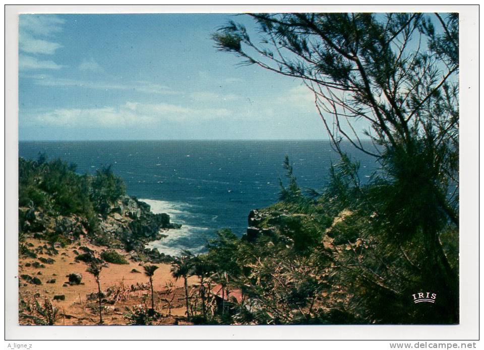 REF 119 : CPSM Ile De La Réunion Bords De Mer Dans Le Sud - Autres & Non Classés