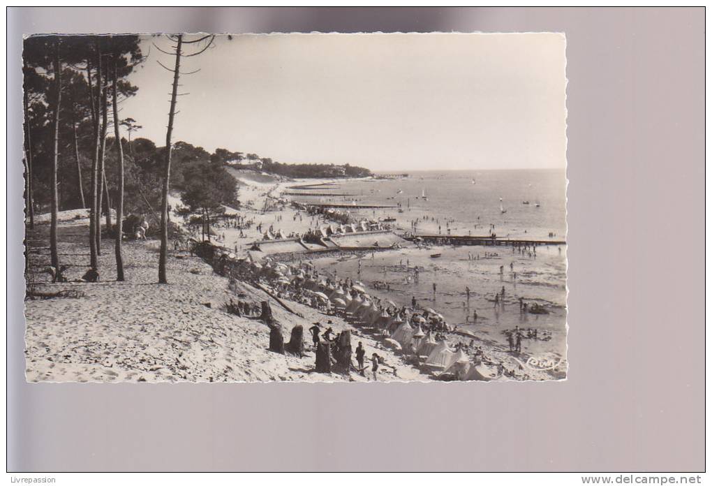 Cpsm ,  Bassin D' Arcachon , Les Abatilles , La Plage Vers Le Moulleau  ., Non  Voyagé - Arcachon