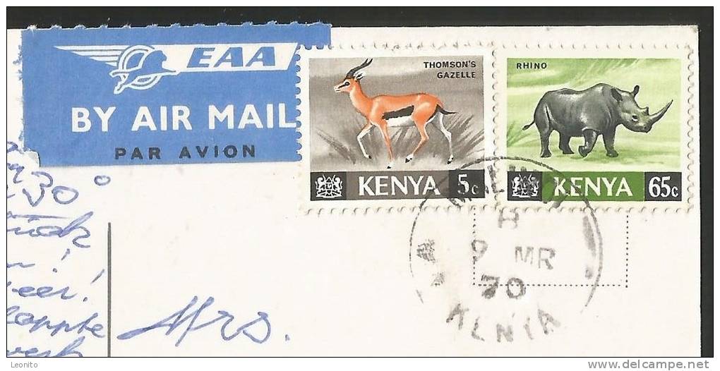 GIRAFFE Zebra East African Wild Life Kenya 1970 - Giraffen