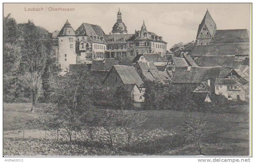 Litho Laubach Oberhessen Wohnhäuser Panorama Mit Schloß Sw Um 1910 - Laubach