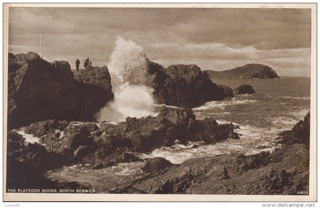 C1900 NORTH BERWICK - THE PLATCOCK ROCKS - East Lothian