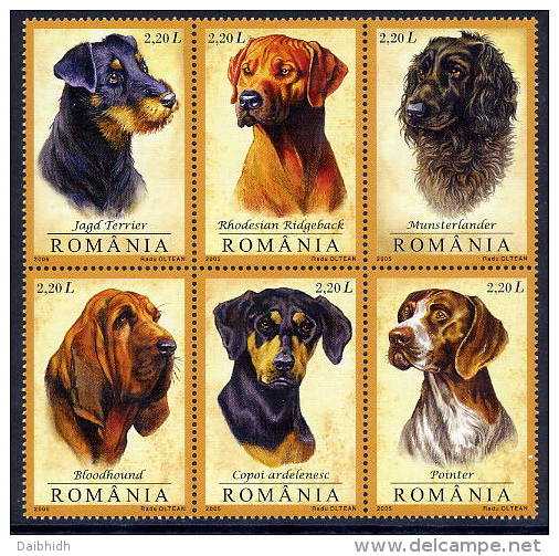 ROMANIA 2005 Hunting Dogs In Block Of 6 MNH / **.  Michel 5982-87 - Nuevos
