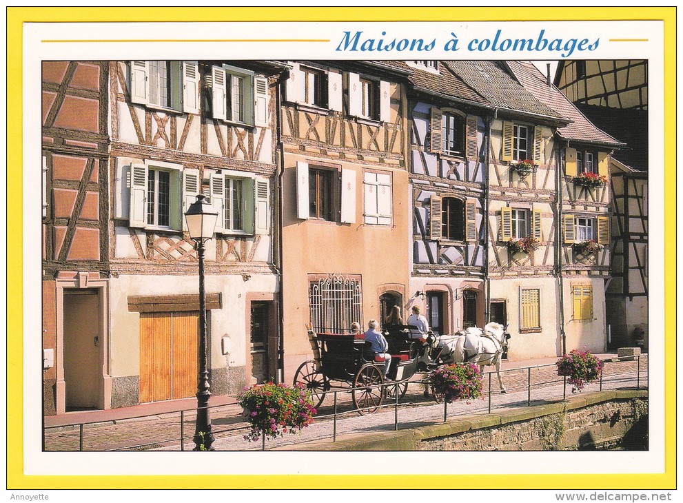 COLMAR - Promenade En Calèche Dans La Petite Venise - Carte écrite - Colmar