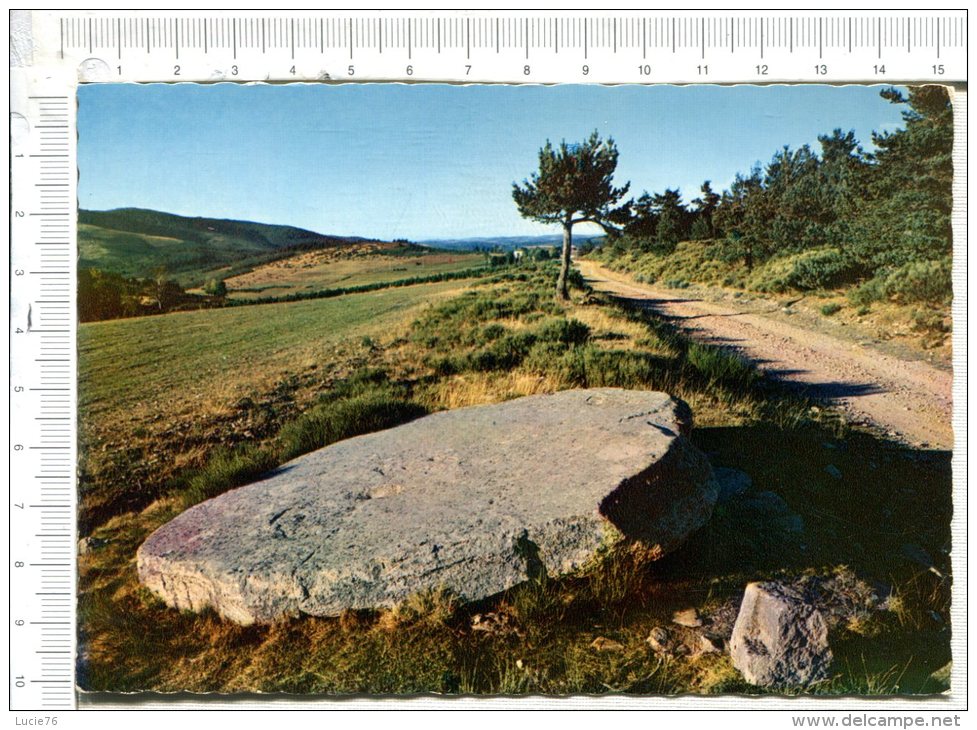 LA BASTIDE - Un Dolmen - - Other & Unclassified