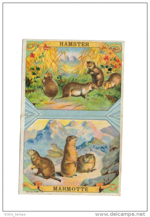 Chromo Chicorée Bergère Bonzel Haubourdin Hamster Et Marmotte - Autres & Non Classés