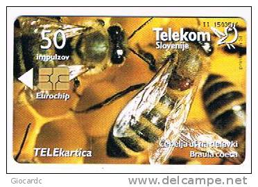 SLOVENIA (SLOVENIJA)  - TELEKOM SLOVENIJE  -  2001 BEES / BOJ  - USED  -  RIF. 3107 - Honeybees