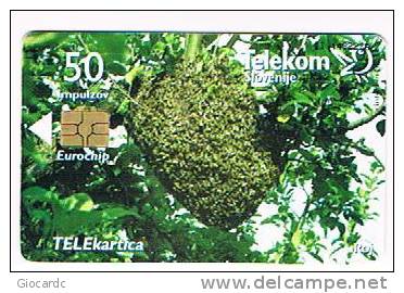 SLOVENIA (SLOVENIJA)  - TELEKOM SLOVENIJE  -  2001 BEES / OSAMLJENI  - USED  -  RIF. 3109 - Slovenia