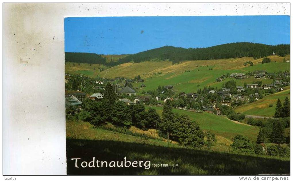 Todtnauberg  1020-1388m  Vue Generale - Todtnau