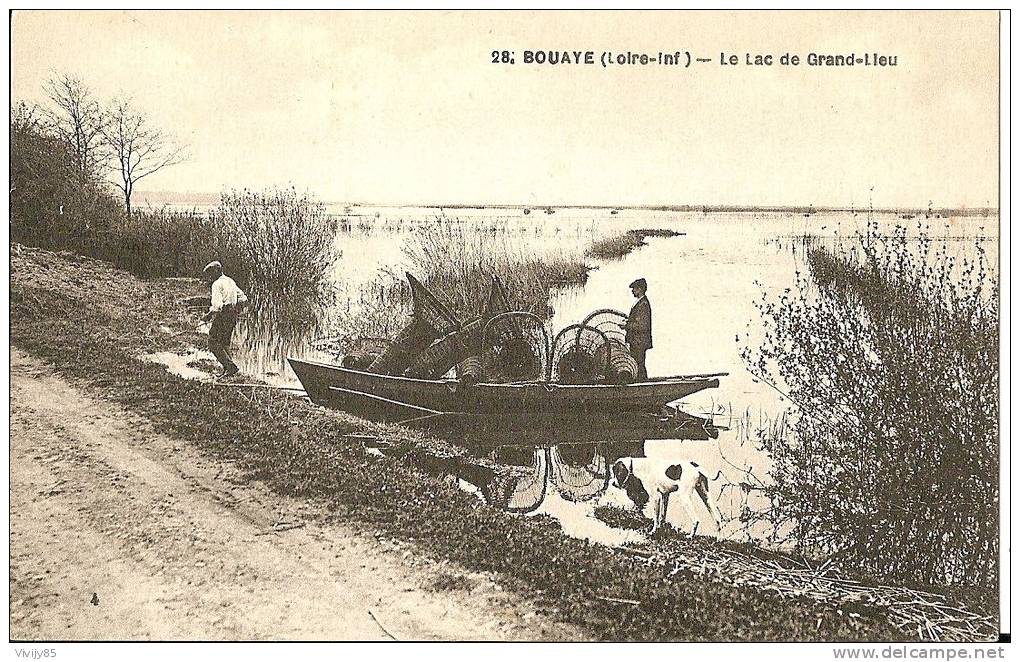 44 - BOUYAE - T.Belle Vue Animée Sur Le Lac De Grand Lieu ( Barque , Pêcheurs , Nacelles )), Chien ) - Bouaye