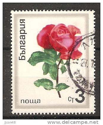 Bulgaria 1970  Roses  (o) Mi.2001 - Oblitérés