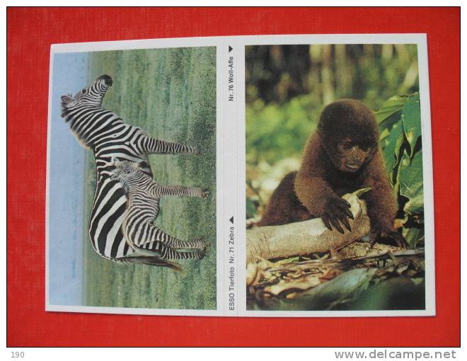 ESSO BABYS DER WILDNIS WOLL-AFFEN,ZEBRA;STICKER-LABEL - Zèbres