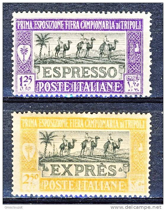 Libia 1927 - 1° Fiera Di Tripoli Espressi, N. E14-E15 MH - Libyen