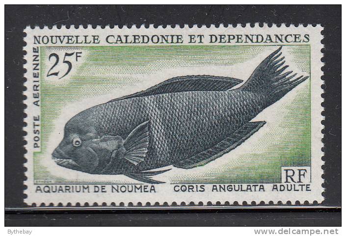 New Caledonia MNH Scott #C43 25fr Coris Angulata - Adult Fish - Ungebraucht